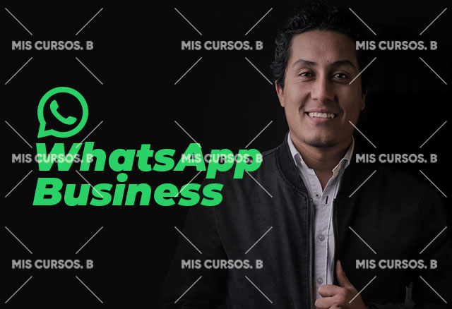 WhatsApp Business de Diego Vallejos 3 whatsapp-business-de-diego-vallejos_64254a9d29dff