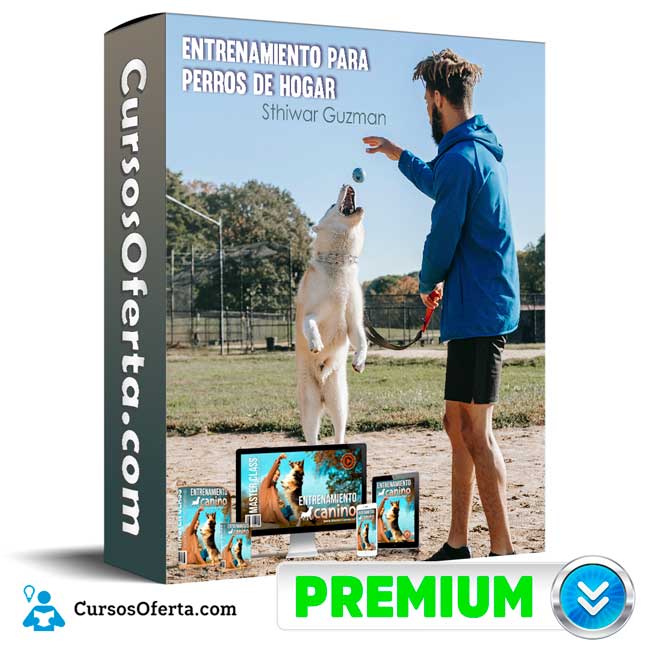 Entrenamiento para Perros de Hogar – Sthiwar Guzman 1 Entrenamiento para Perros de Hogar – Sthiwar Guzman