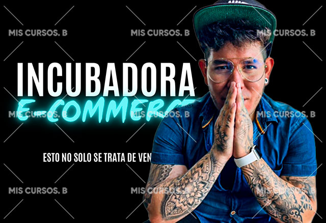 Incubadora E-Commerce de Fabian Hernandez 1 Incubadora E-Commerce de Fabian Hernandez