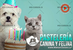 Pastelería Canina y Felina