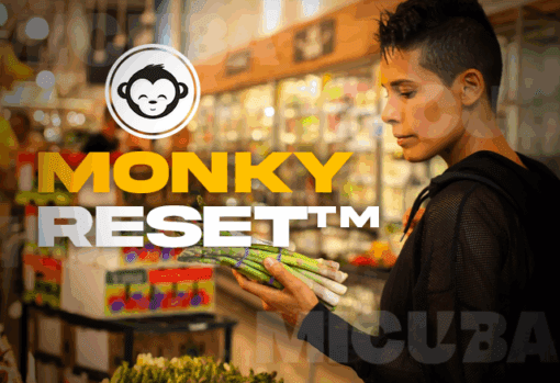 MonkyReset Transformación Integral 2 MonkyReset Transformación Integral monkyreset transformacion integral 685d8e12a9123