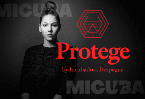 Programa de Certificaciones Protege de Incubadora Despegue 1 Programa de Certificaciones Protege de Incubadora Despegue programa de certificaciones protege de incubadora despegue 684a6f67e3127