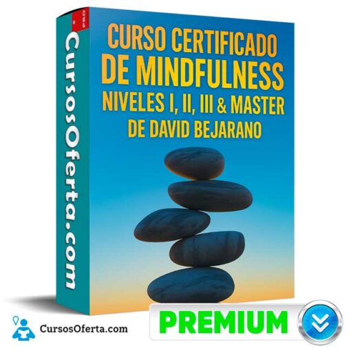 Curso Certificado de Midfulness. Niveles I, II, III & Master de David Bejarano 1 Curso Certificado de Midfulness. Niveles I, II, III & Master de David Bejarano