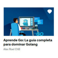 Aprende Go La guía completa para dominar Golang – Alex Roel ChB