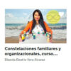 Constelaciones familiares y organizacionales, curso completo – Blasida Vera