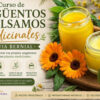 Curso de Ungüentos y Bálsamos Medicinales – Silvia Bernial