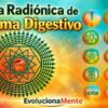 Curso Online de Mesa Radiónica de Sistema Digestivo – EvolucionaMente
