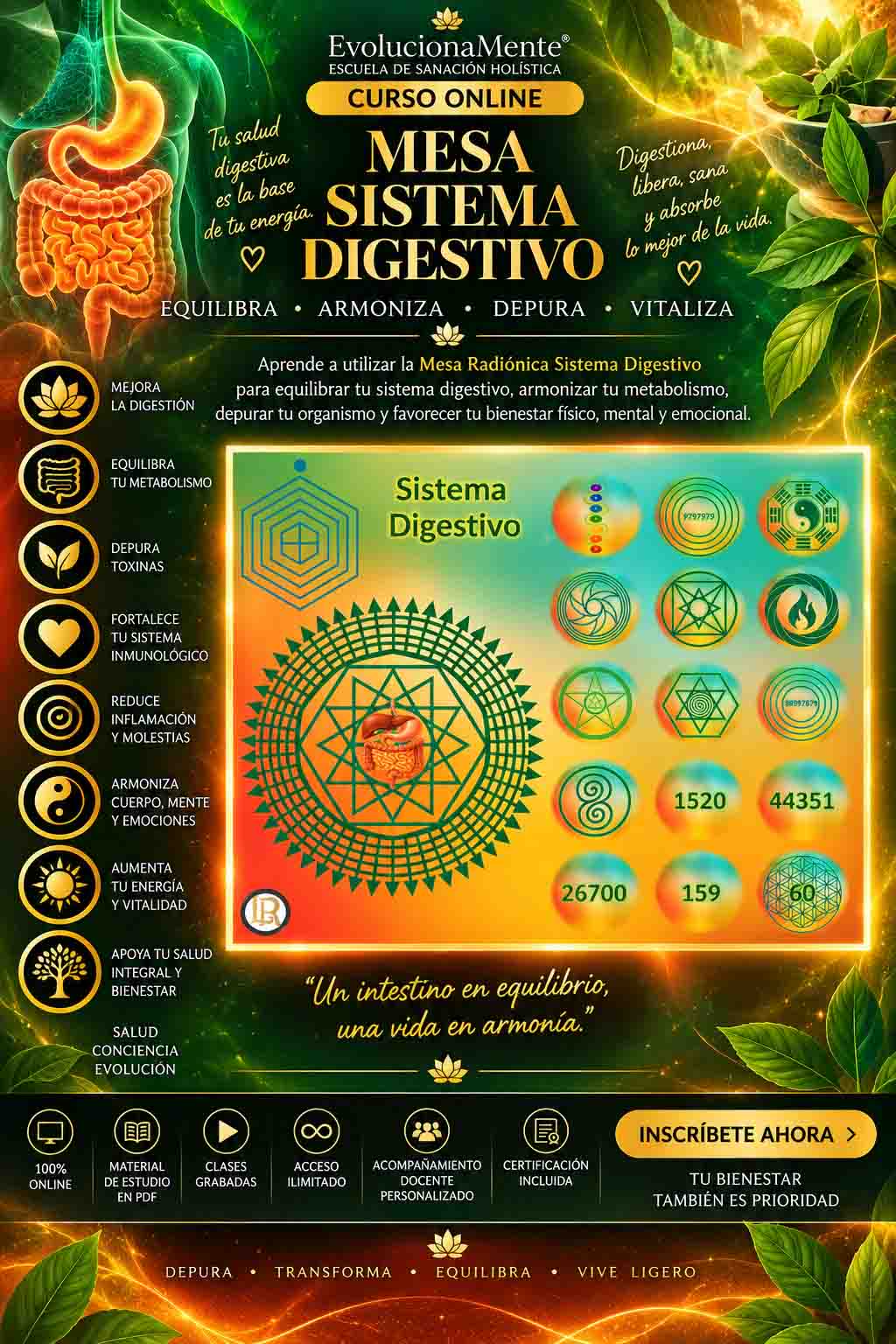 Curso Online de Mesa Radiónica de Sistema Digestivo – EvolucionaMente curso online de mesa radionica de sistema digestivo evolucionamente 6ae2c37d12be9