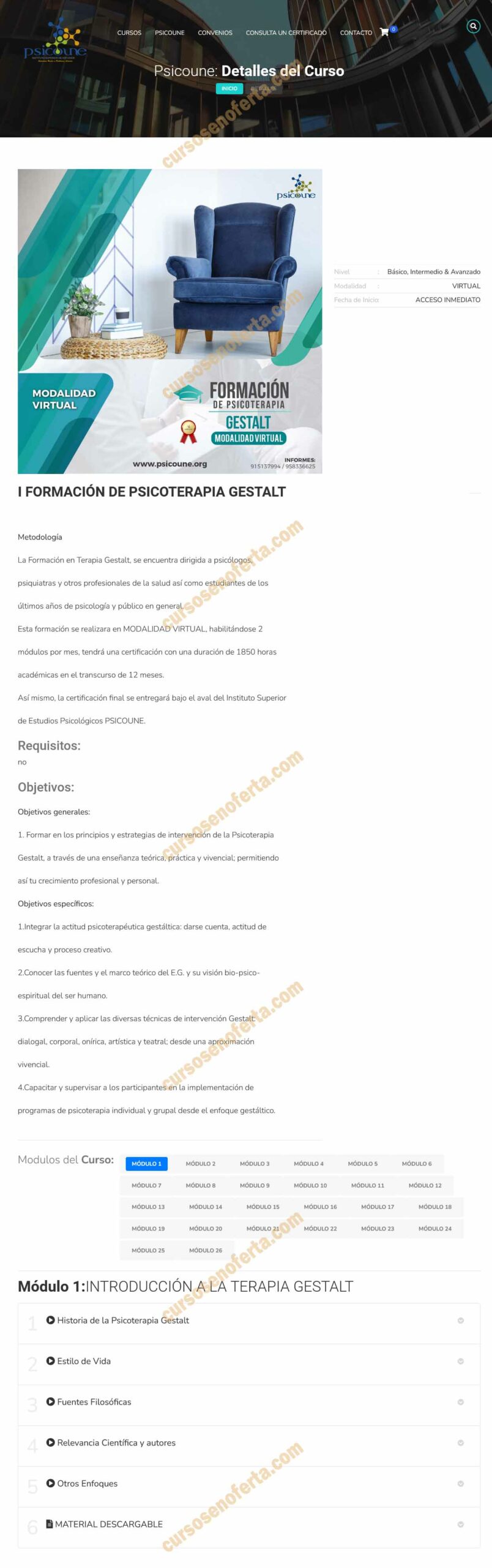 Formación de Psicoterapia Gestalt – Psicoune 3 Formación de Psicoterapia Gestalt - psicoune