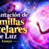Implantación de Semillas Estelares de Luz – Assaya