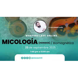 Patología Biomagnética – Hongos – Alejandro Lavin 1 Patología Biomagnética – Hongos – Alejandro Lavin
