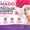 Taller de Armado de Protocolos de Gabinete y Domicilio – Andrea Lemos