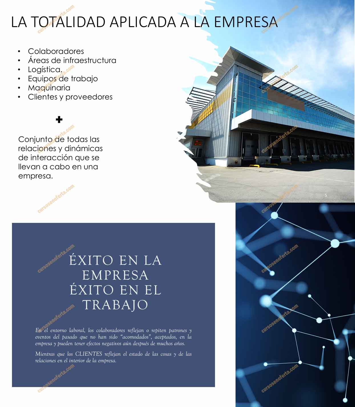 Taller éxito en los negocios – Antología Cuántica – Milagros Rojas 3 Taller éxito en los negocios - antologia cuantica - milagros rojas